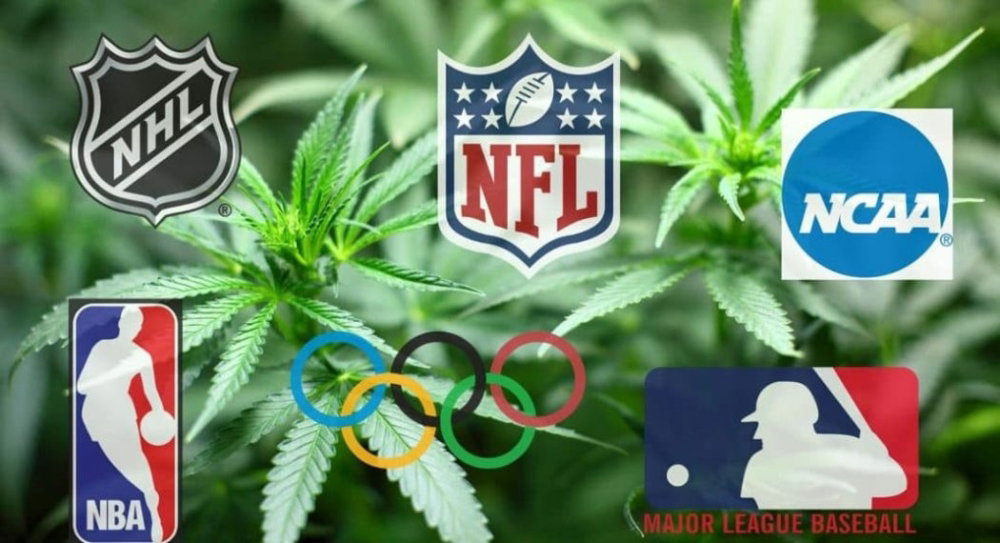 how-different-sports-leagues-test-for-cannabis-1068x580-1-1050x570.thumb.jpeg.96f23e6cf118305bbabad36b19fec50c.jpeg