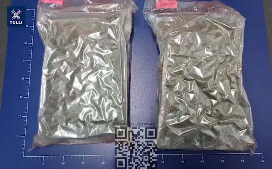 marijuana-from-thailand-seized.jpg