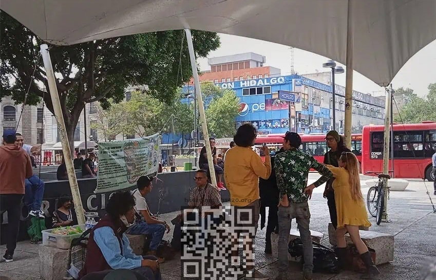 mexico-tolerance-zone.jpg