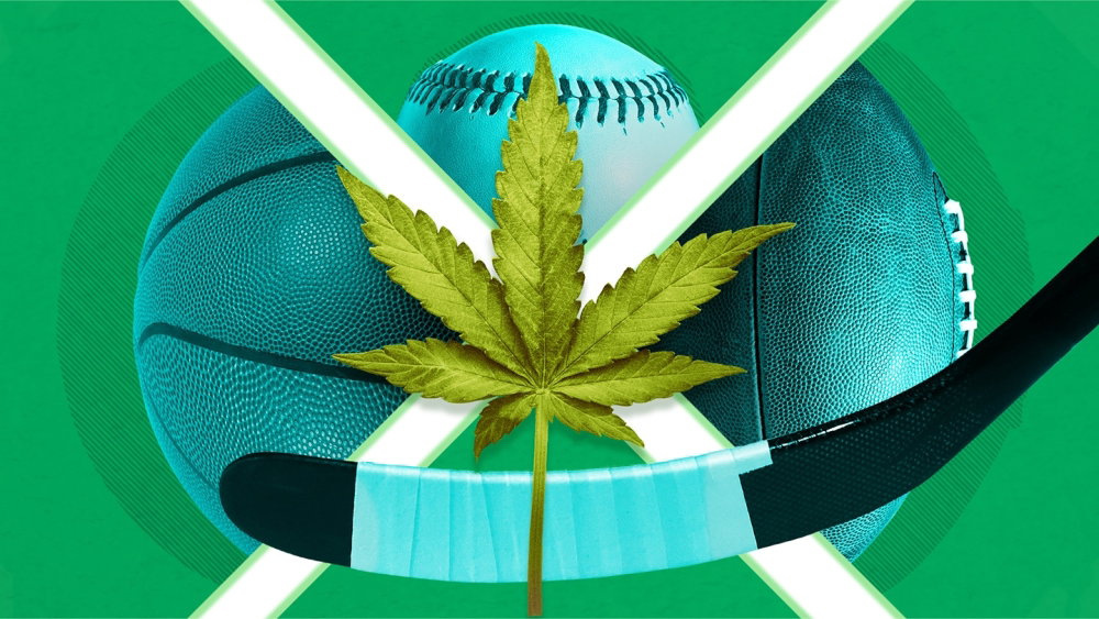 multisport_cannabis_16x9.thumb.jpeg.43ea3497832387a6380fc759307a1169.jpeg