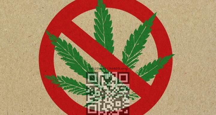 no-to-cannabis.jpg