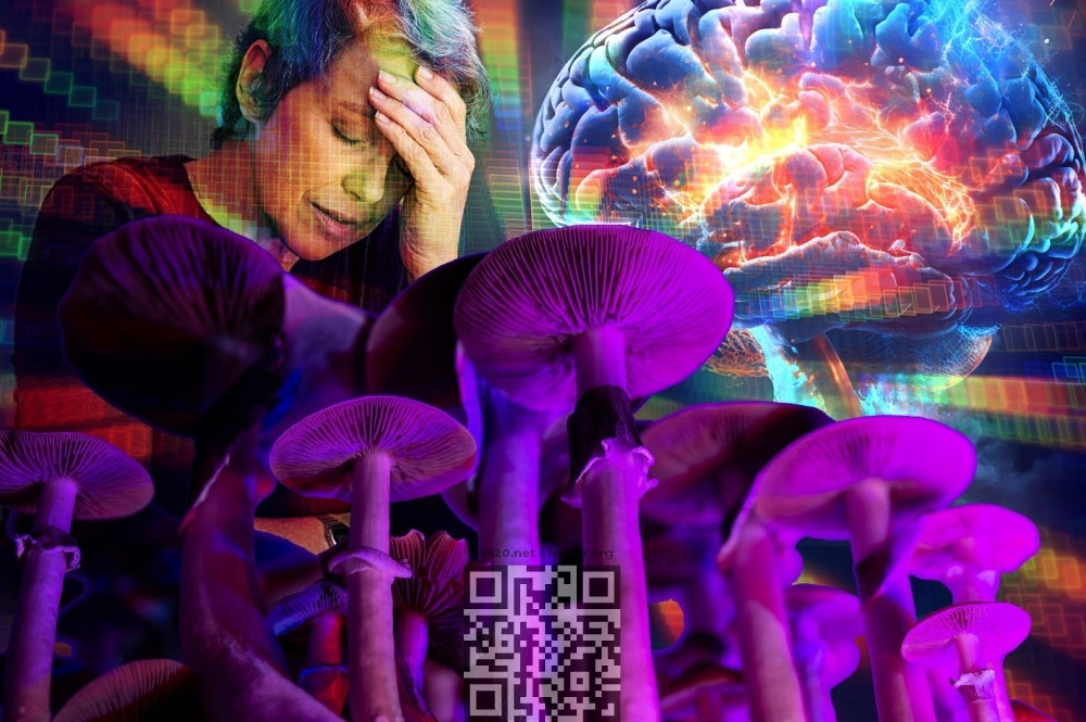 psilocybin-brain.jpg