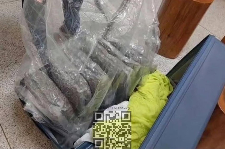 suitcase-with-marijuana.jpg