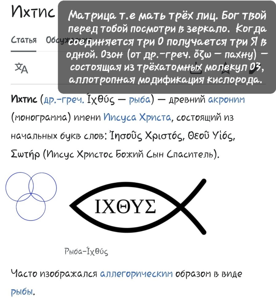 20240812_163608.thumb.jpg.a147ca91a1599e1c70c5c85d683baced.jpg