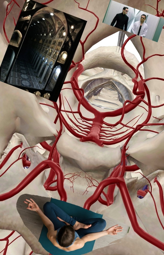 20250422_213818.thumb.jpg.f8c76dc5ea2cef8d6a3613047ca90a8f.jpg
