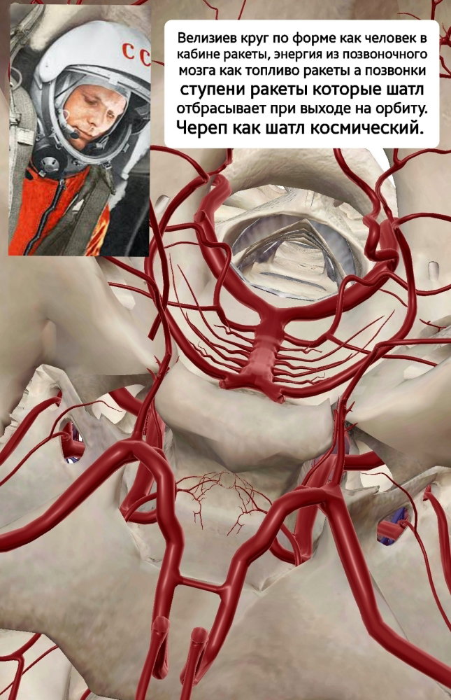20250424_232301.thumb.jpg.fd16cc90f120bfd5394d030641a52571.jpg