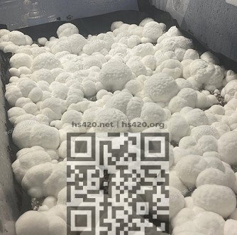 319166974_.jpg.816628b64c2b1d23cd4fcebe89ad848b.jpg
