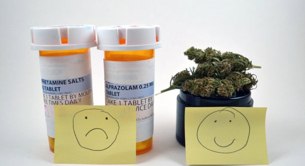 Medical-Marijuana-Helps-ADHD-Patients-Use-Fewer-Prescriptions-Study-Finds.thumb.jpeg.574f155f5127f272bdf96e1c96019a2e.jpeg
