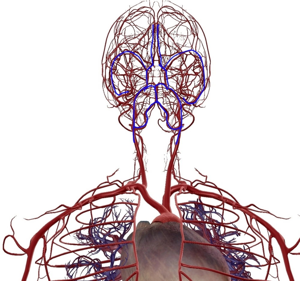 Screenshot_20250427-133348_Atlas.thumb.jpg.88a8a528523668e15f1065a7468bba4a.jpg