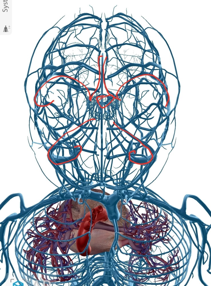 Screenshot_20250427-142213_Atlas.thumb.jpg.faead79880751dc17c96f6a3613f148e.jpg