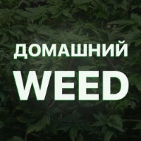 ДомашнийWeed
