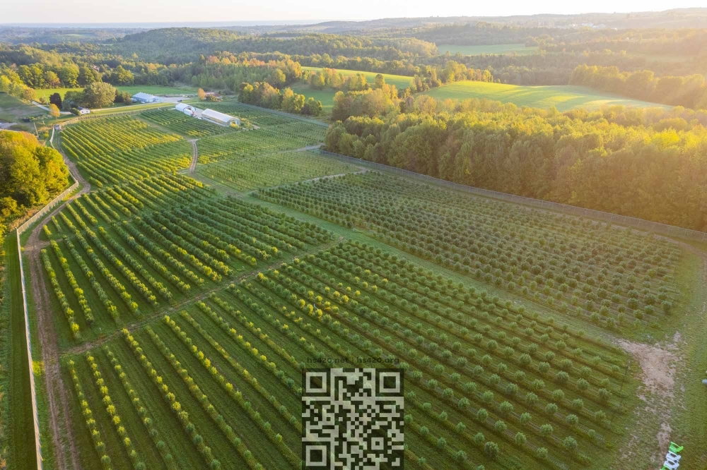 canada-cannabis-farm.jpg