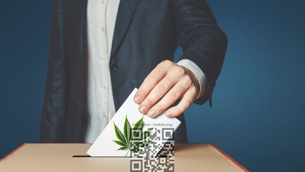 cannabis-referendum.jpg