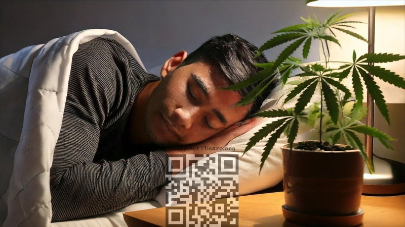 cannabis-sleep.jpg