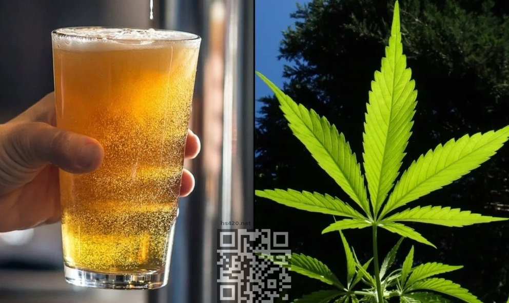 cannabis-vs-alcohol.jpg