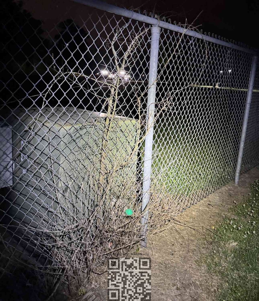 egg-in-a-fence.jpg