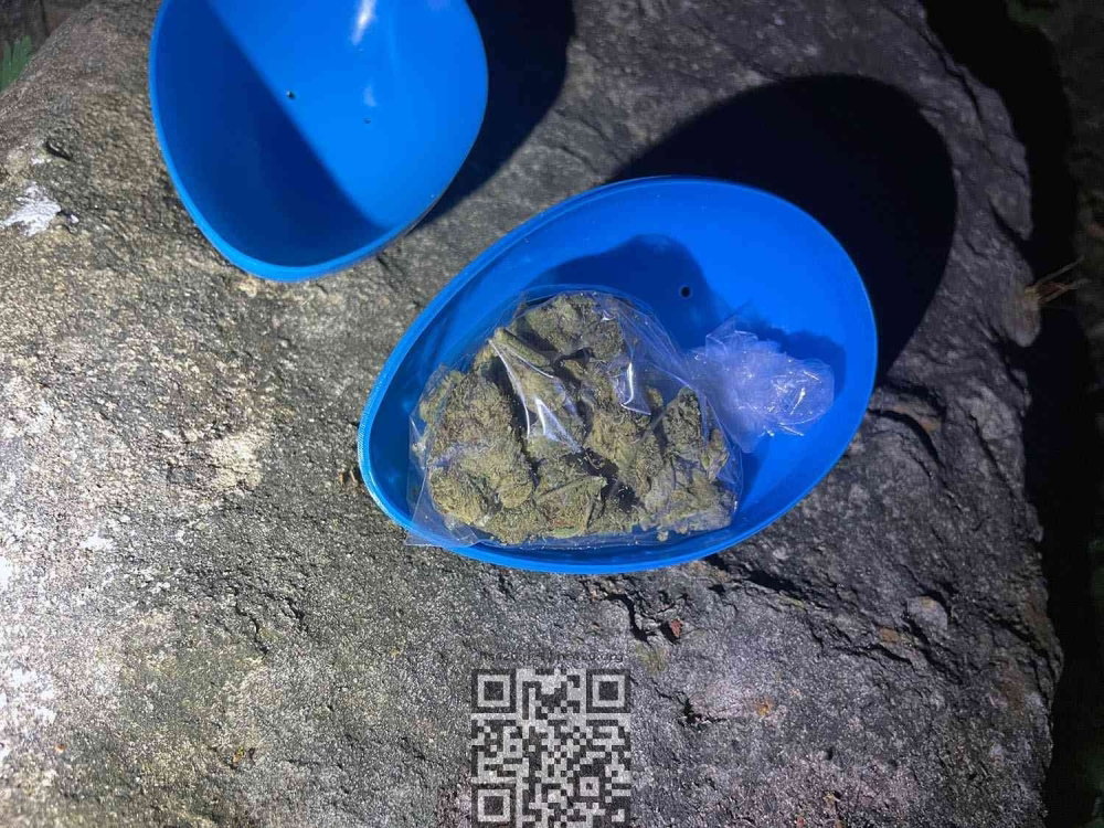 egg-with-marijuana.jpg
