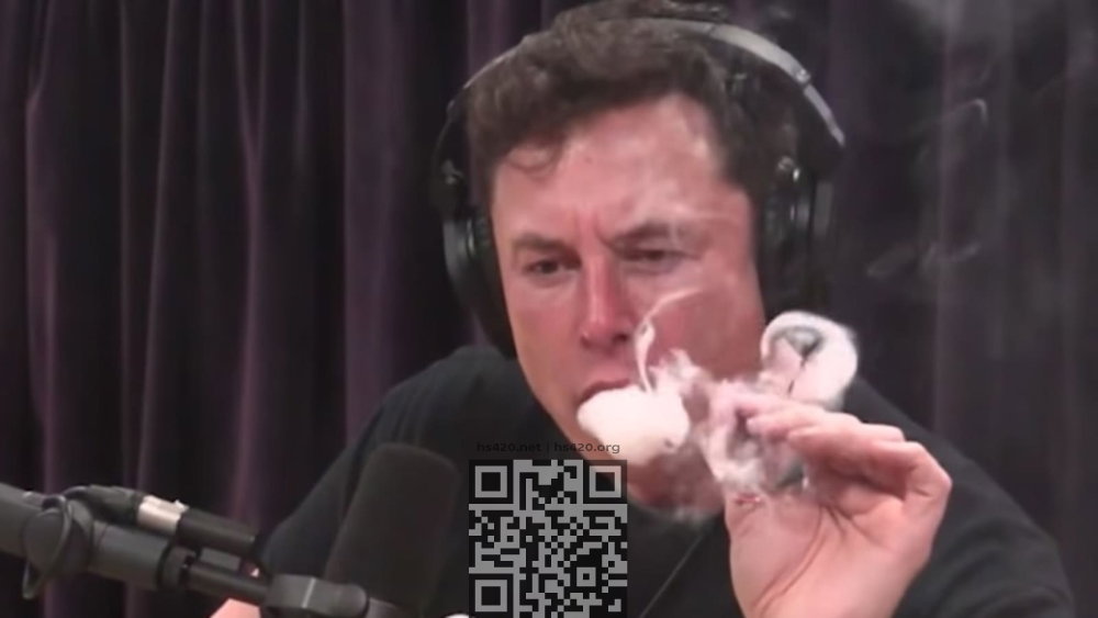 elon-musk-smoke-marijuana.jpg
