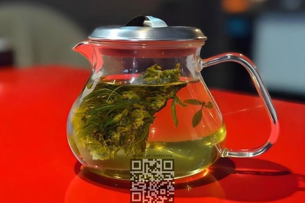 hemp-tea-ready.jpg
