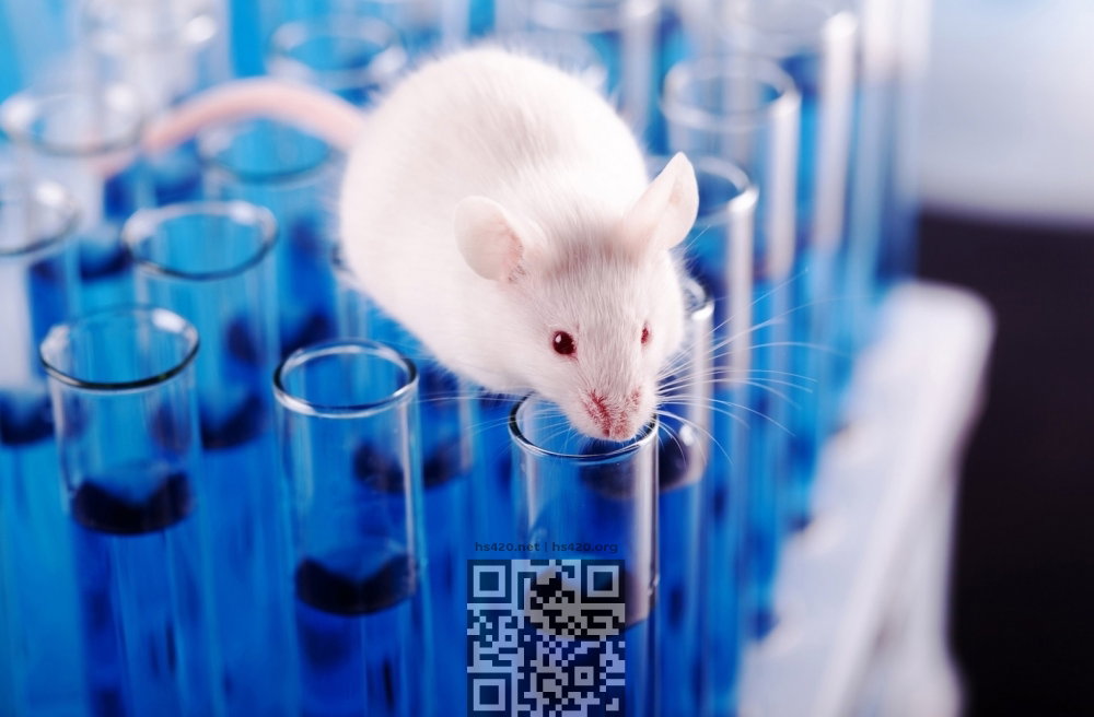 mouse-lab.jpg