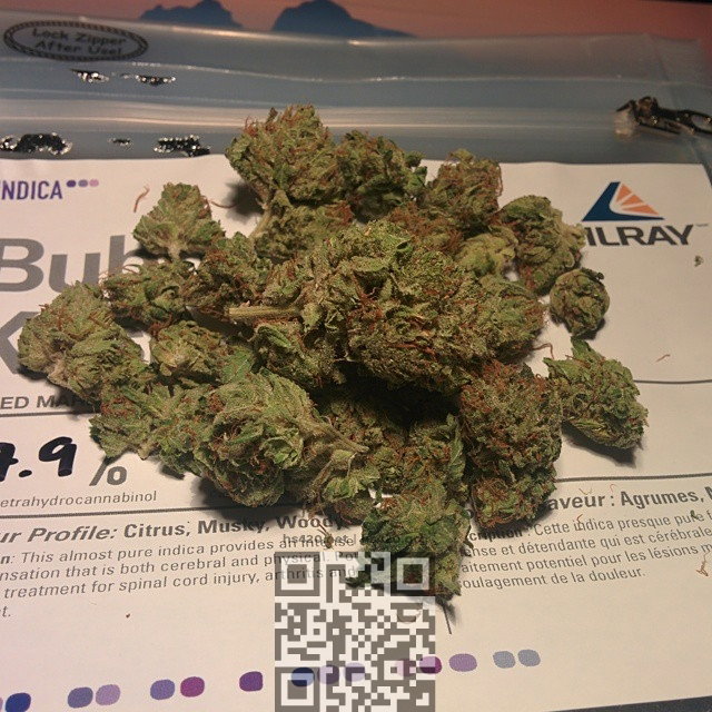portugal-medical-marijuana.jpg
