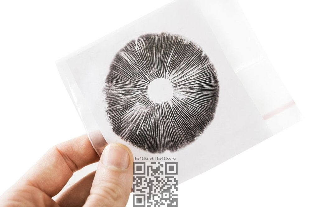 psilocybin-mushrooms-spore-print.jpg