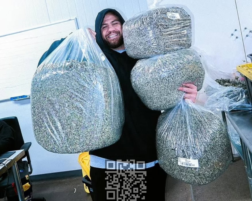 tai-tuivasa-marijuana.jpg