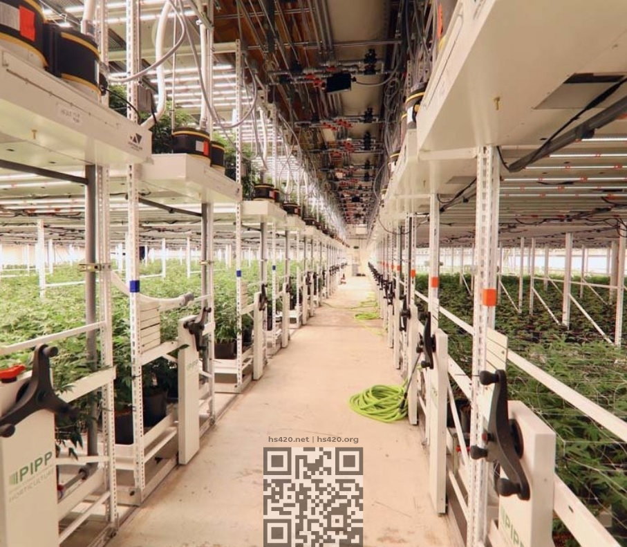 trulieve-cannabis-farm.jpg