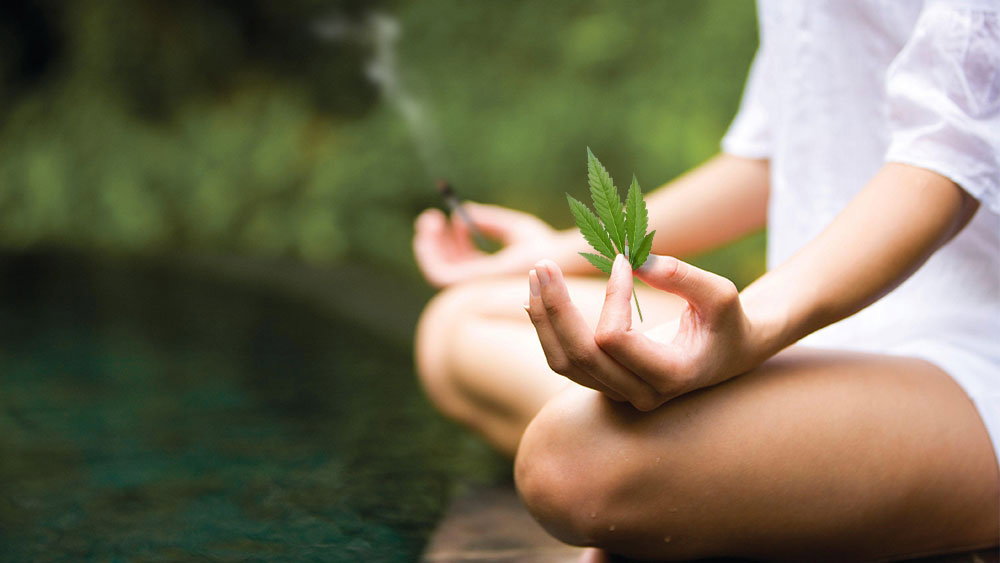 weed-meditation.jpeg.d69f552b52bb1b6050ed815835e36788.jpeg