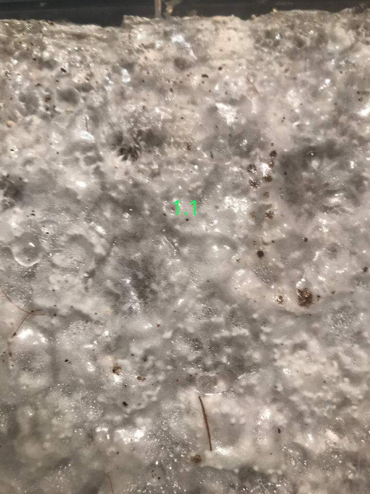 101.thumb.JPG.5c7a08579181f8498e320297244b0bc2.JPG