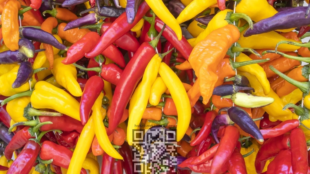 1920_gettychilipepperscopy.jpeg