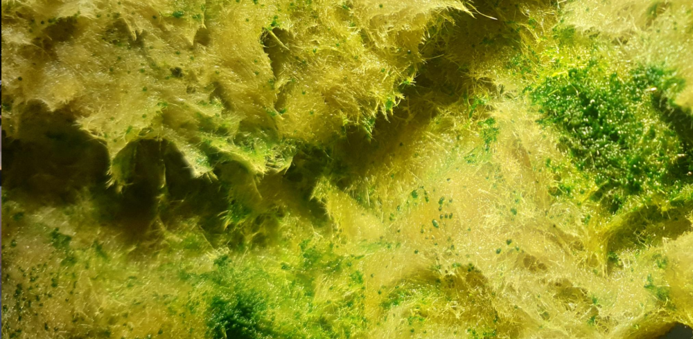 Снимок экрана в 2025-05-17 13-09-47.png