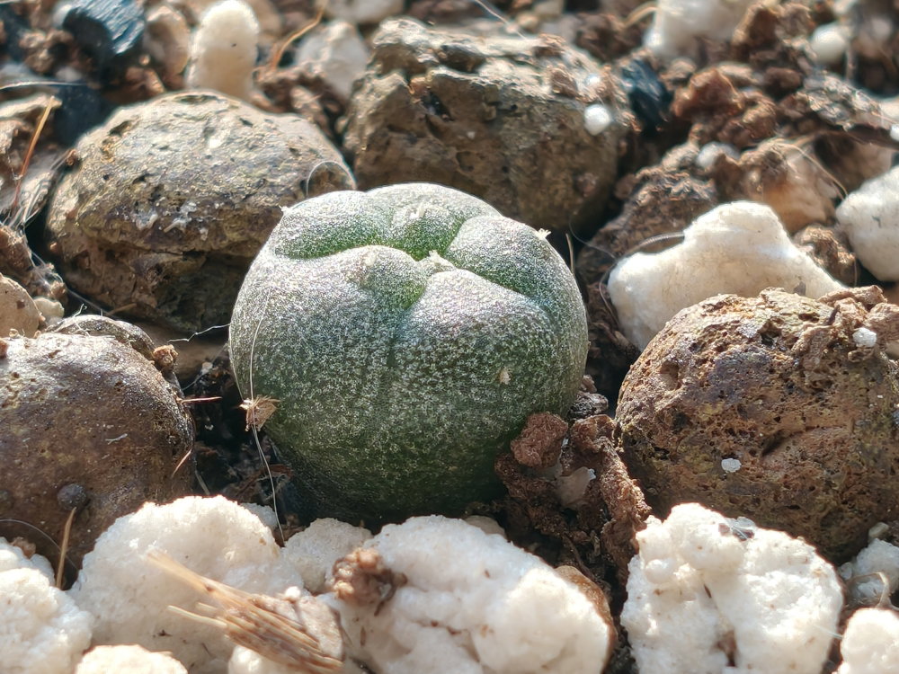 IMG20250515190809.jpg