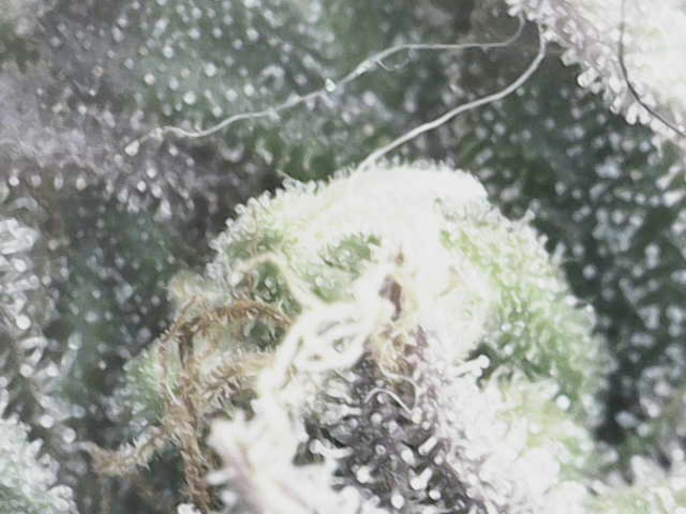 Image_2025-05-0719_52_34_691.thumb.png.66908d724d7aad382aaf08813b45845f.png