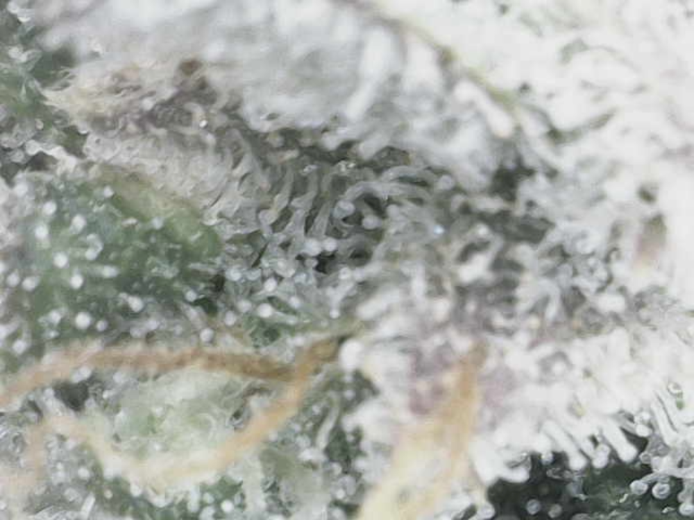 Image_2025-05-0719_53_30_747.thumb.png.dfeb4b5fdc0682c22c7a911b4db73361.png
