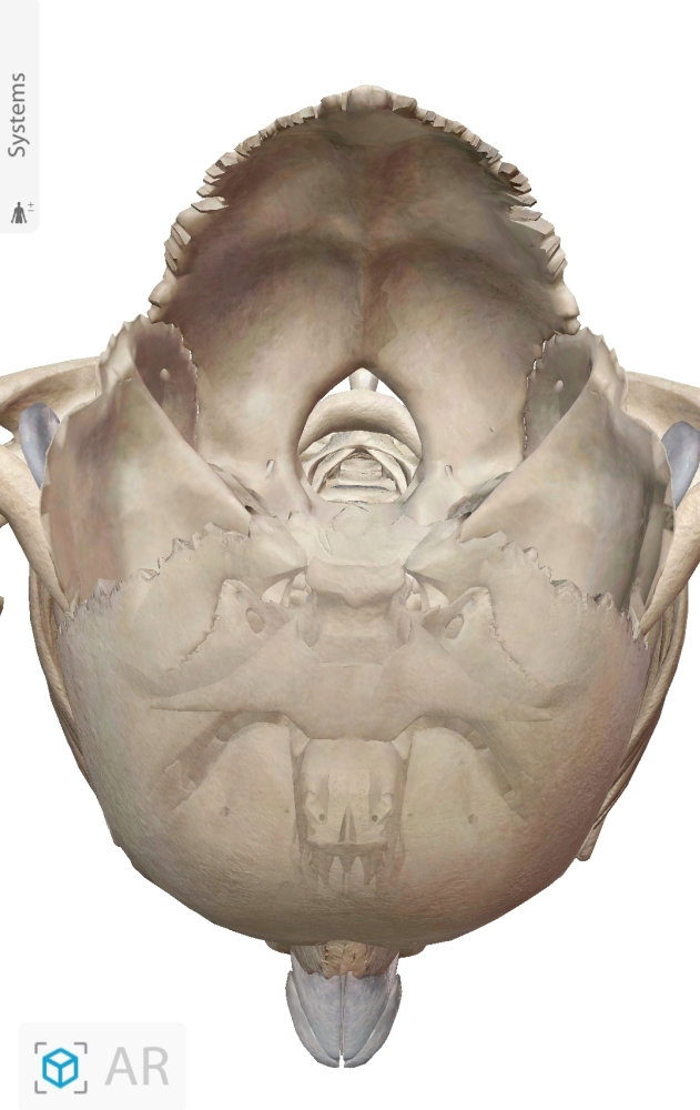 Screenshot_20250505-214015_Atlas.thumb.jpg.debdfb7ff0da53f546e403be58ed3ed9.jpg