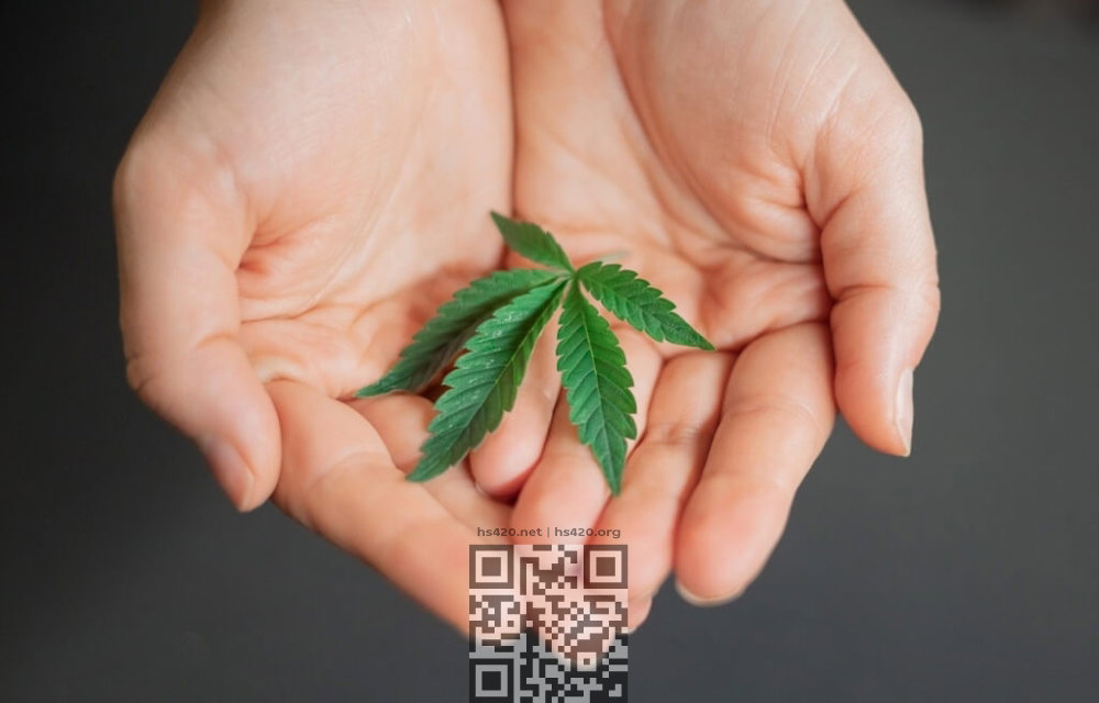 cannabis-cancer.jpg