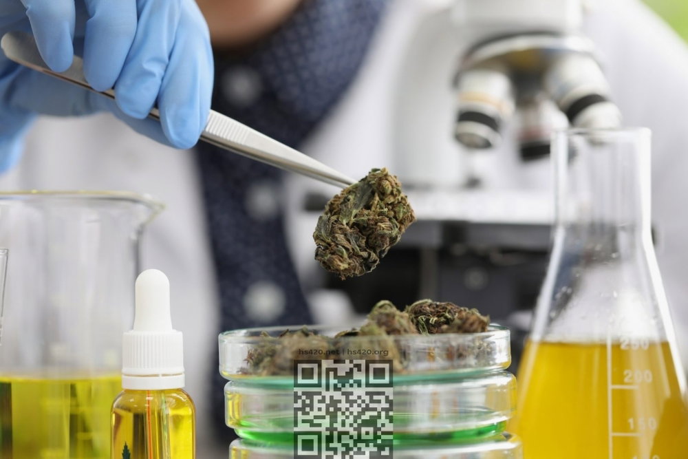 cannabis-chemistry-research.jpg