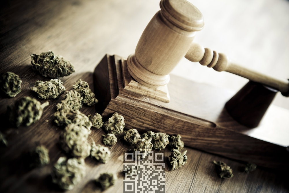 cannabis-court.jpg