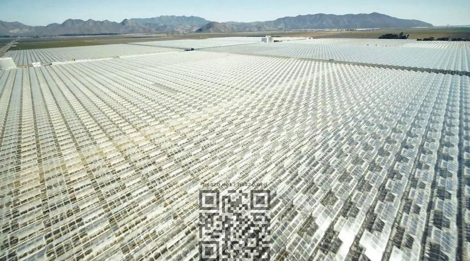 cannabis-farm-glass-house-brands.jpg