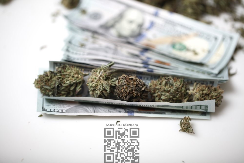 cannabis-money.jpg
