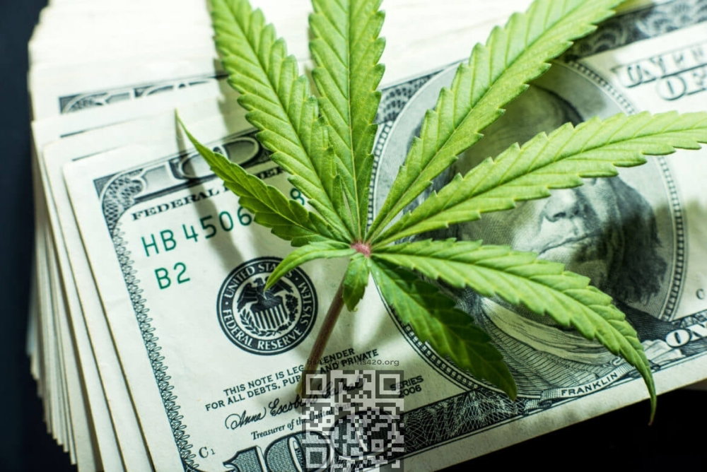 cannabis-money.jpg