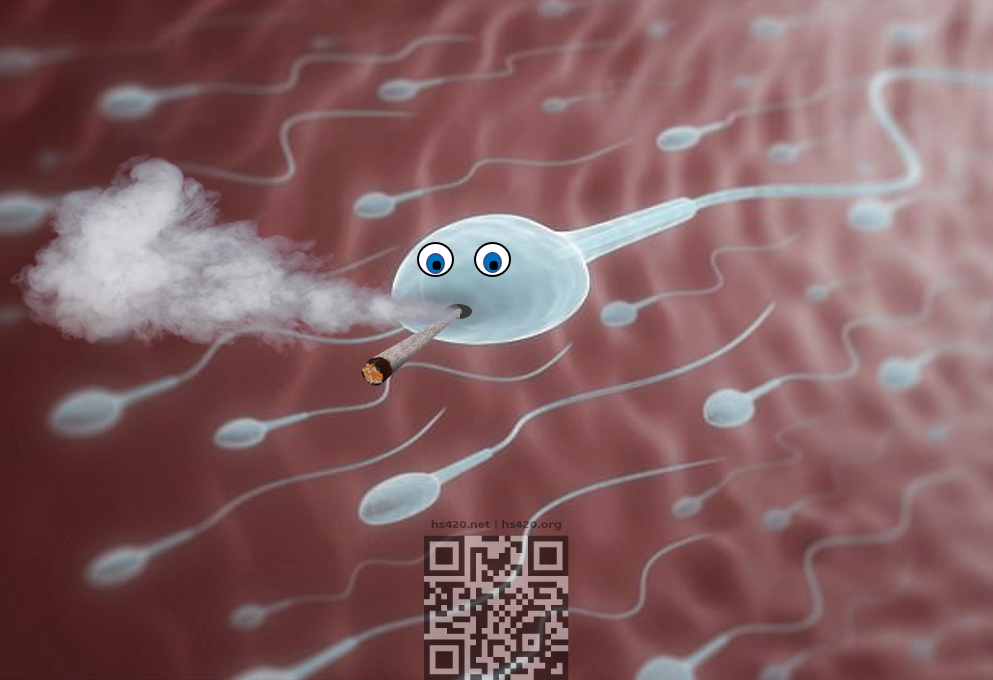 cannabis-sperm.png