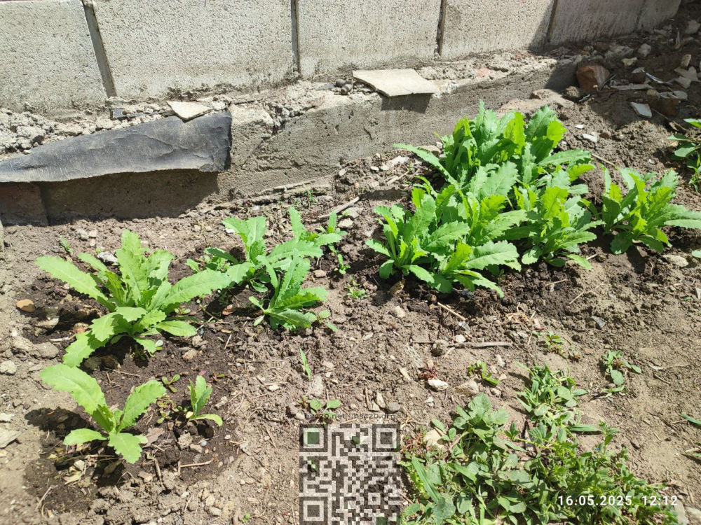 image.thumb.png.13097c09a9ef9846df89e843b338d955.png