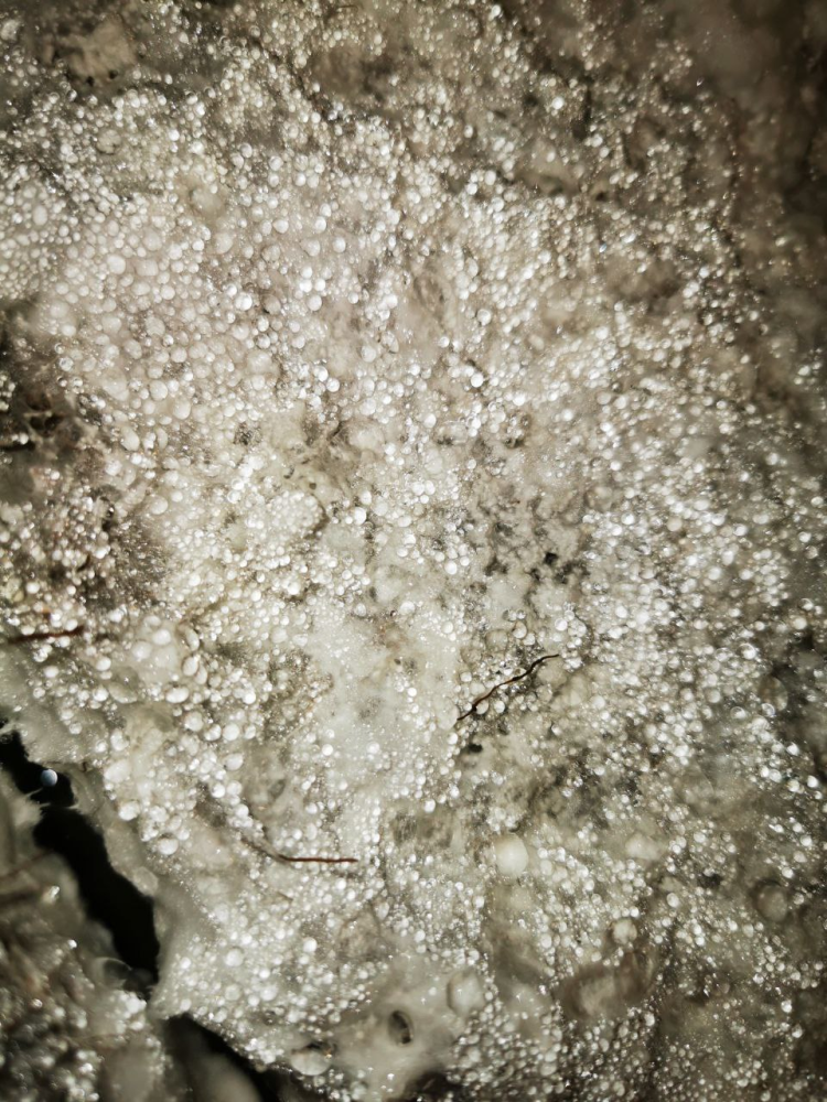 image.thumb.png.92e7a5c39b53e5abb96175a8ea0bd159.png