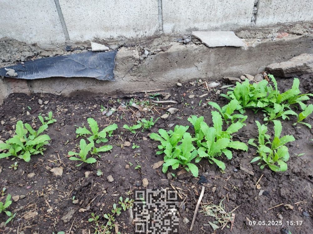 image.thumb.png.f650c1f603c5e7cb054c176a28bfb70b.png