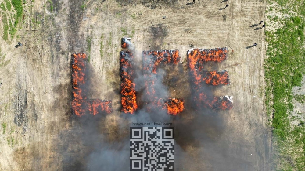 lice-cannabis-burning.jpg