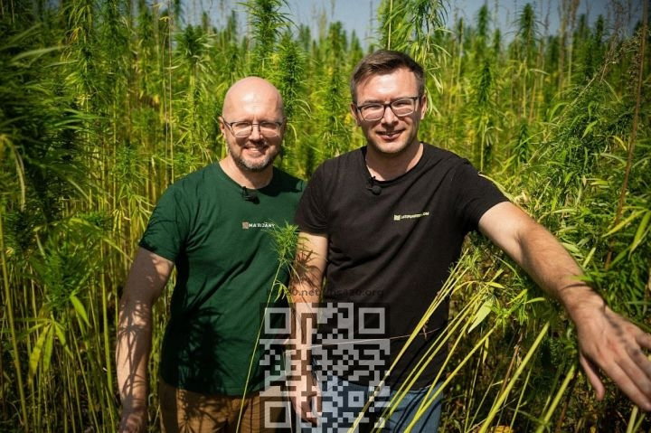 marijany-hemp-company.jpg