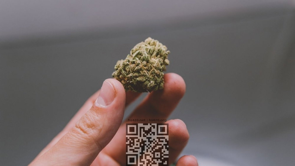 marijuana.jpg