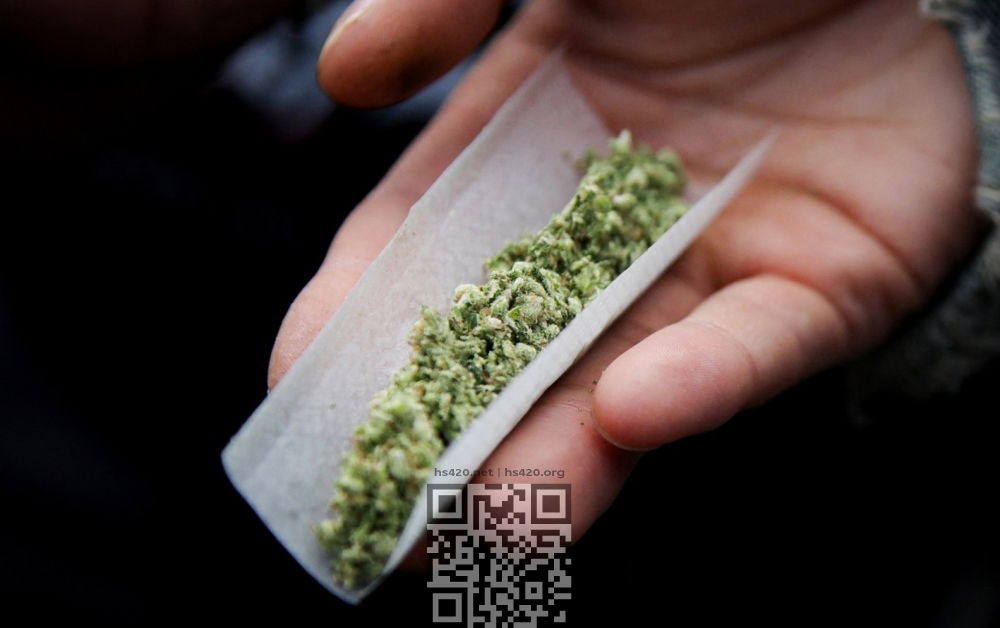 marijuana.jpg